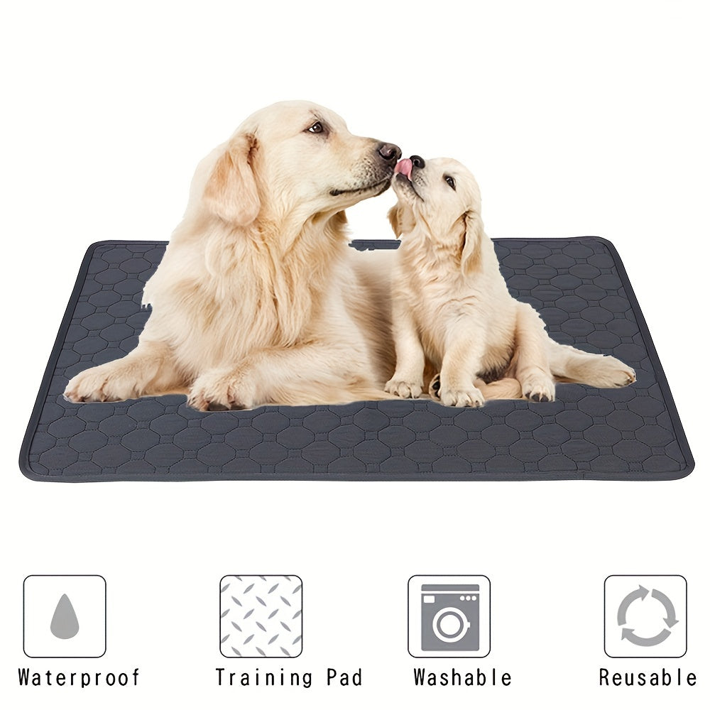 PawDry EcoMax: Washable Pet Pee Pad for Training