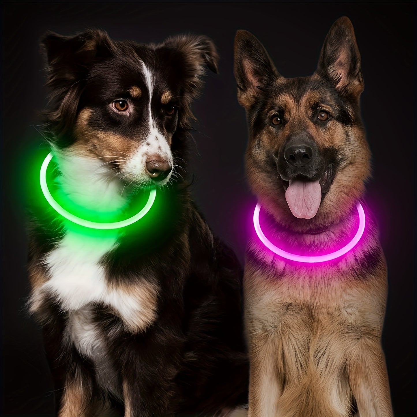 GlowPaw: 360° LED Light Collar for Dogs & Cats