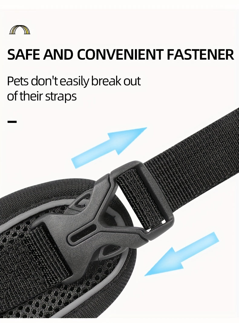 Reflective Cat Harness & Leash Set – Walks, Training, and Adventures Made Safe