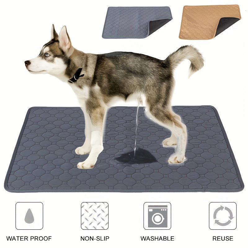 PawDry EcoMax: Washable Pet Pee Pad for Training