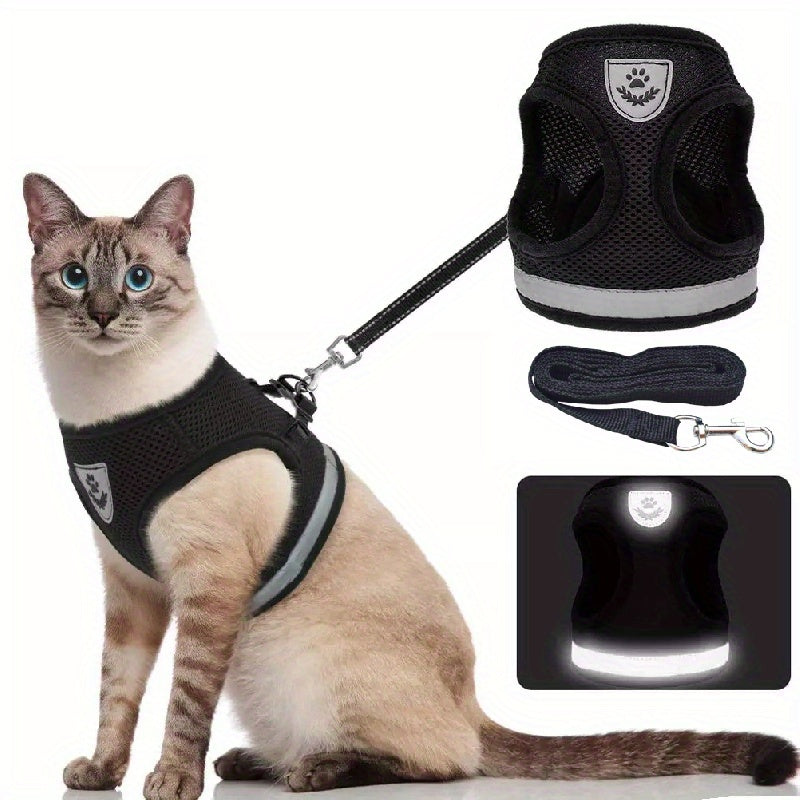 Super-Breathable Pet Harness & Leash Set – Stylish & Secure Control!