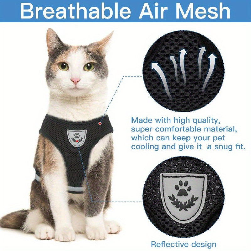 Super-Breathable Pet Harness & Leash Set – Stylish & Secure Control!