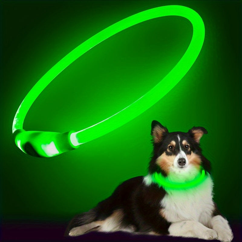 GlowGuard: USB Rechargeable LED Dog Collar with 360° Visibility