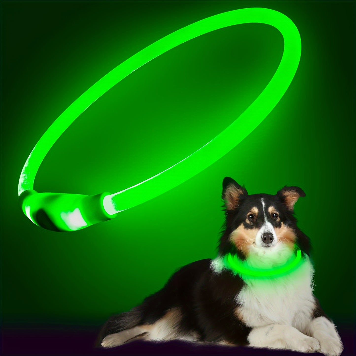 GlowGuard: USB Rechargeable LED Dog Collar with 360° Visibility