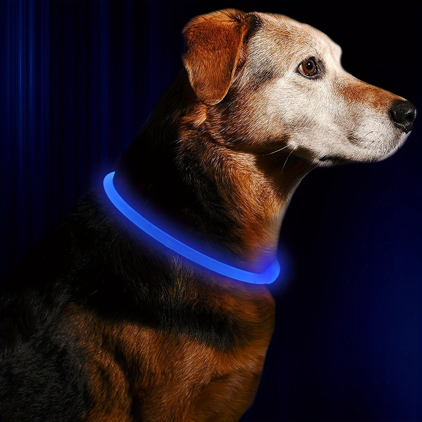 GlowGuard: USB Rechargeable LED Dog Collar with 360° Visibility