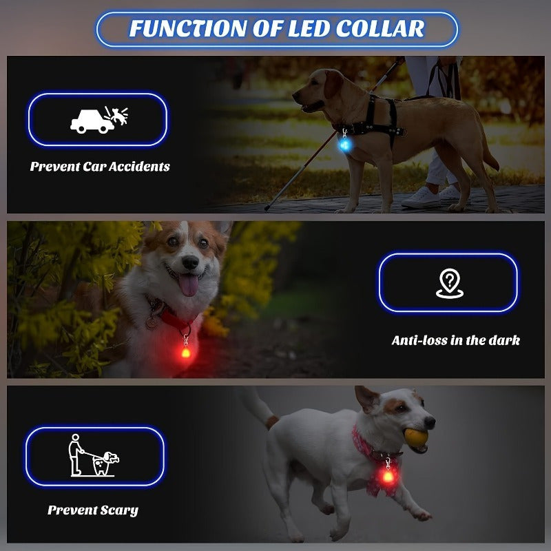 GlowGuard: LED Dog Safety Light