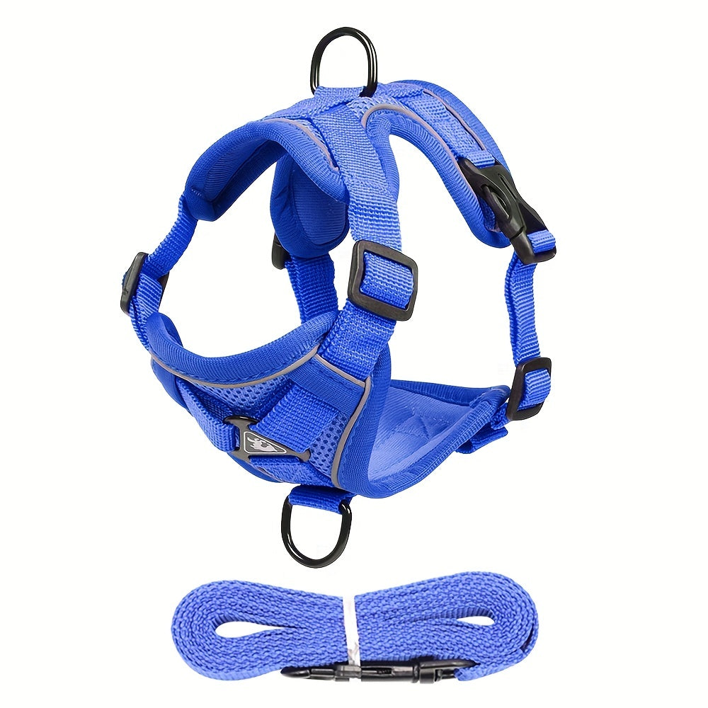 Reflective Cat Harness & Leash Set – Walks, Training, and Adventures Made Safe