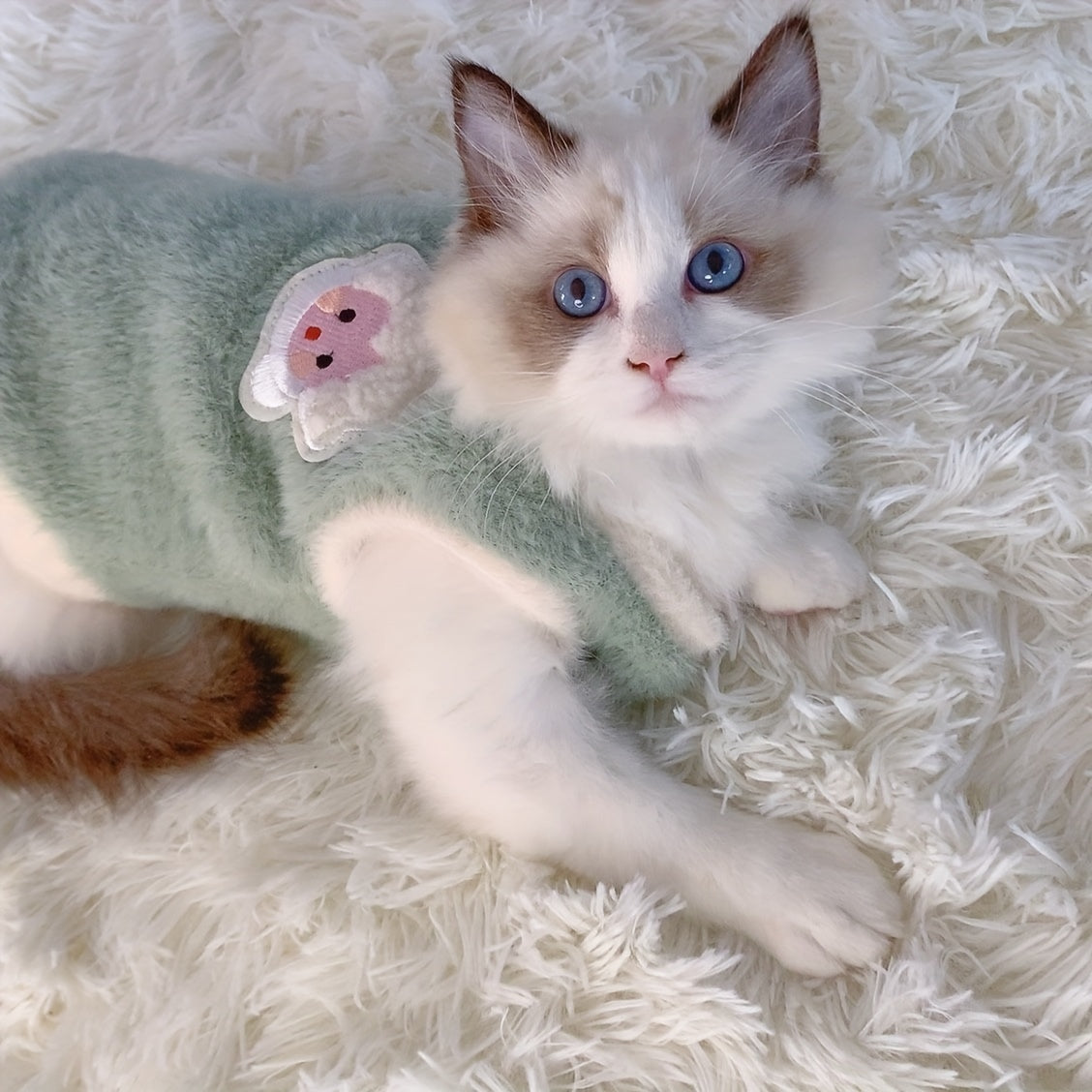 PurrSeasons: CozyKnit Cat Vest for 3-Season Warmth