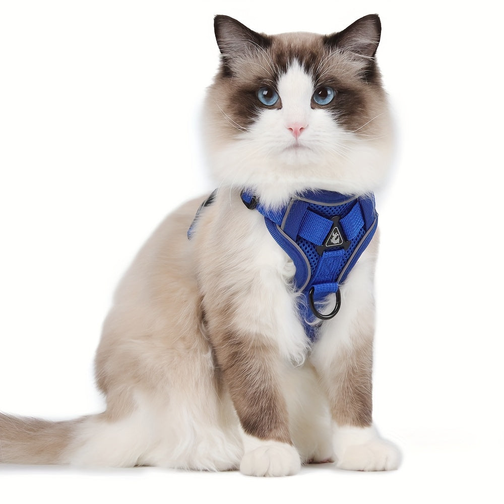 Reflective Cat Harness & Leash Set – Walks, Training, and Adventures Made Safe