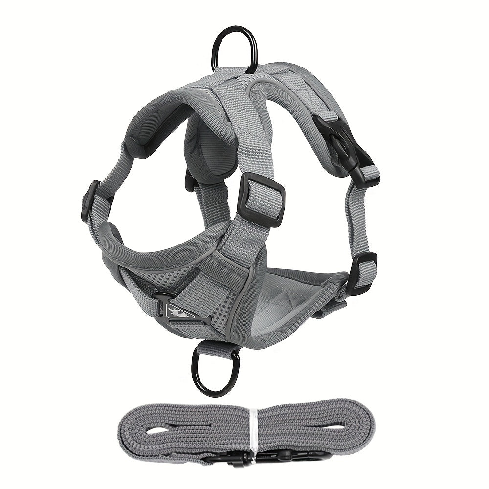 Reflective Cat Harness & Leash Set – Walks, Training, and Adventures Made Safe