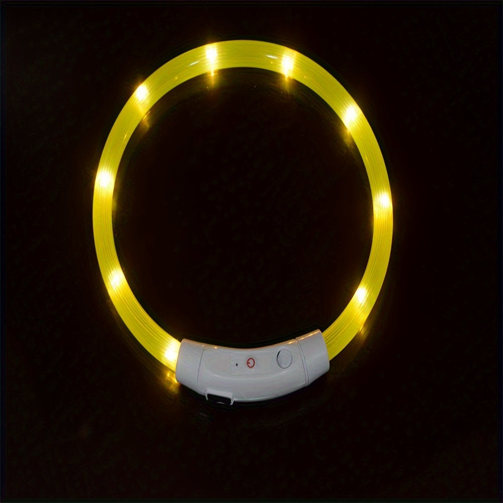 GlowPaws: USB Rechargeable LED Dog Collar for Night Visibility