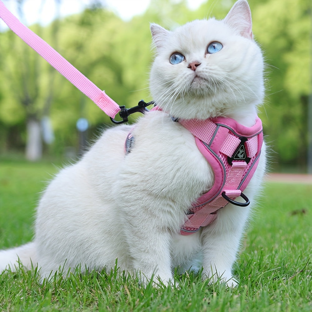 Reflective Cat Harness & Leash Set – Walks, Training, and Adventures Made Safe