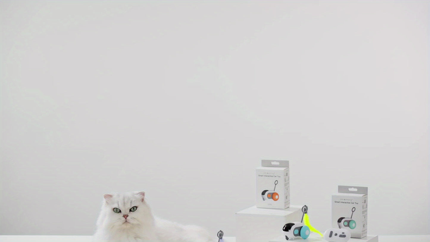 PETGRAVITY: Dual-Mode RC Cat Toy Car with Autopilot & Remote Control