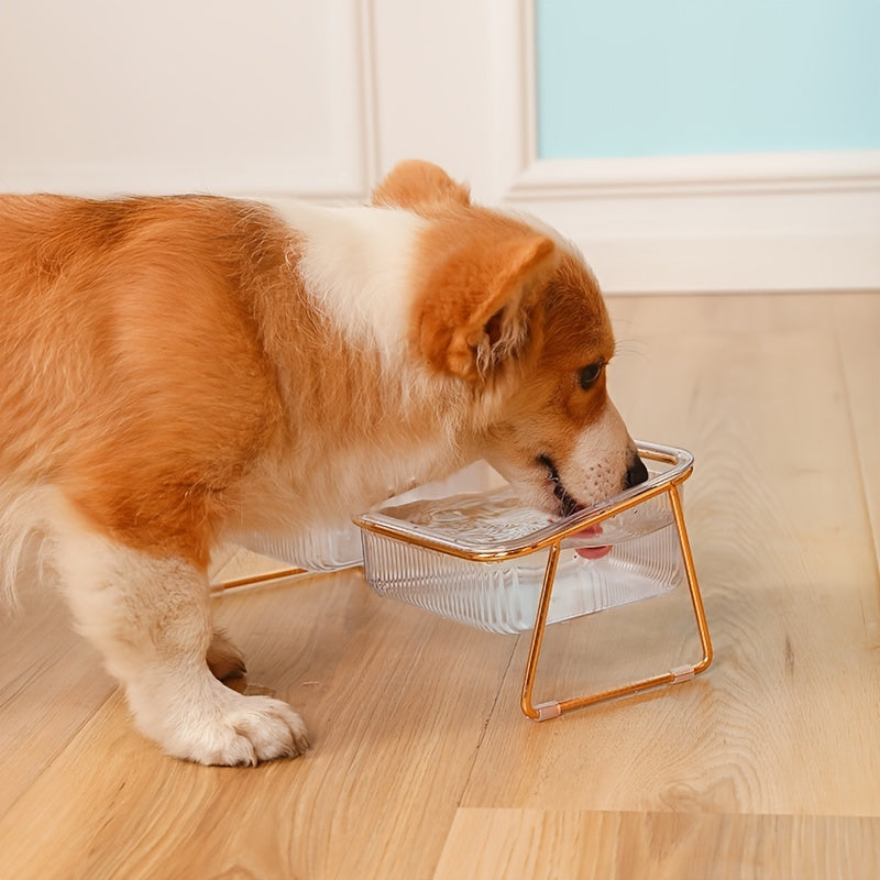 CrystalClear Duo: Space-Saving Cat Food & Water Bowl