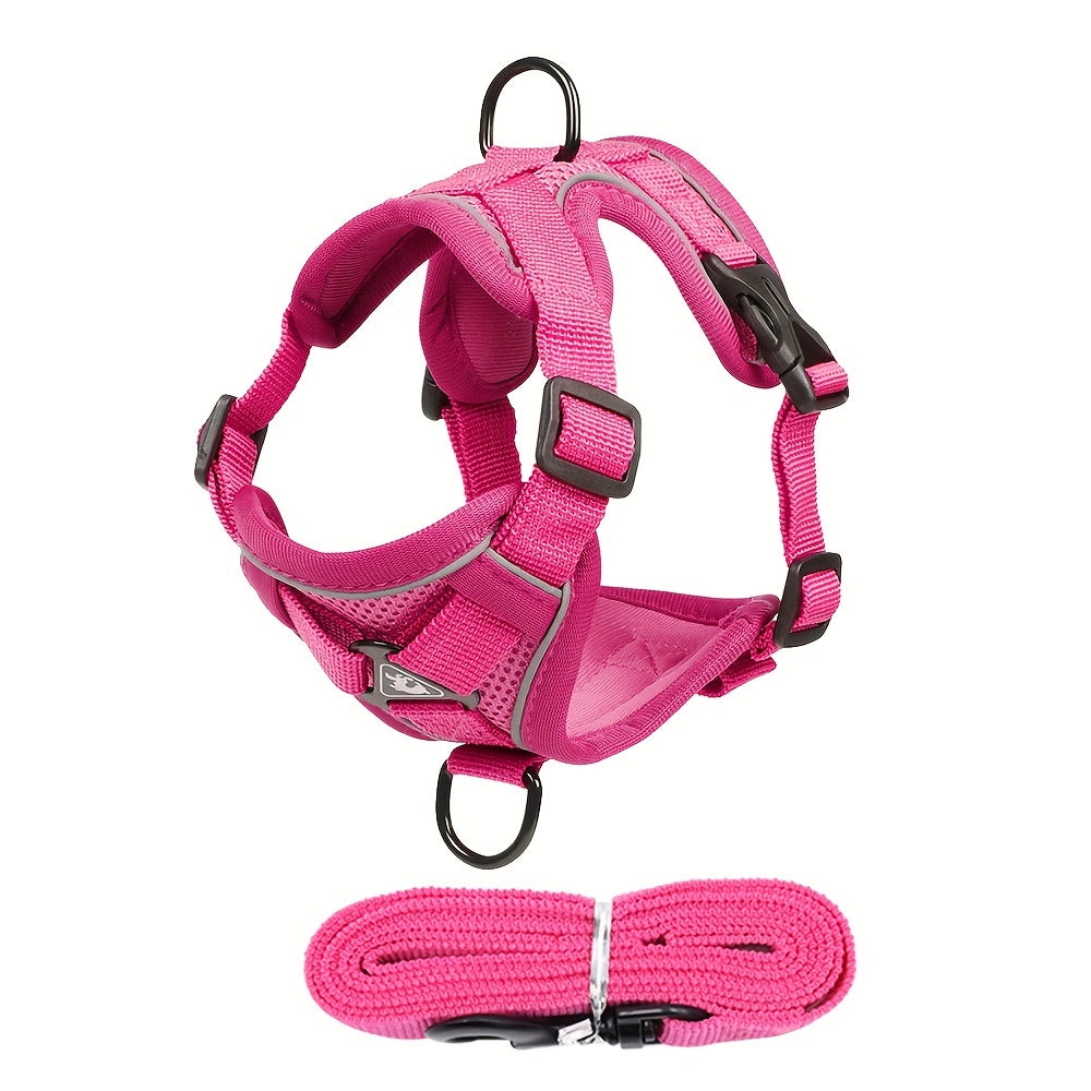 Reflective Cat Harness & Leash Set – Walks, Training, and Adventures Made Safe