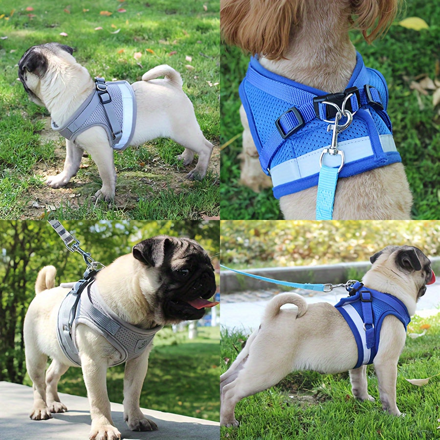 Super-Breathable Pet Harness & Leash Set – Stylish & Secure Control!