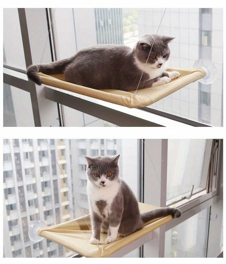 WindowWink: Detachable Cat Hammock with Steel Suction Cups