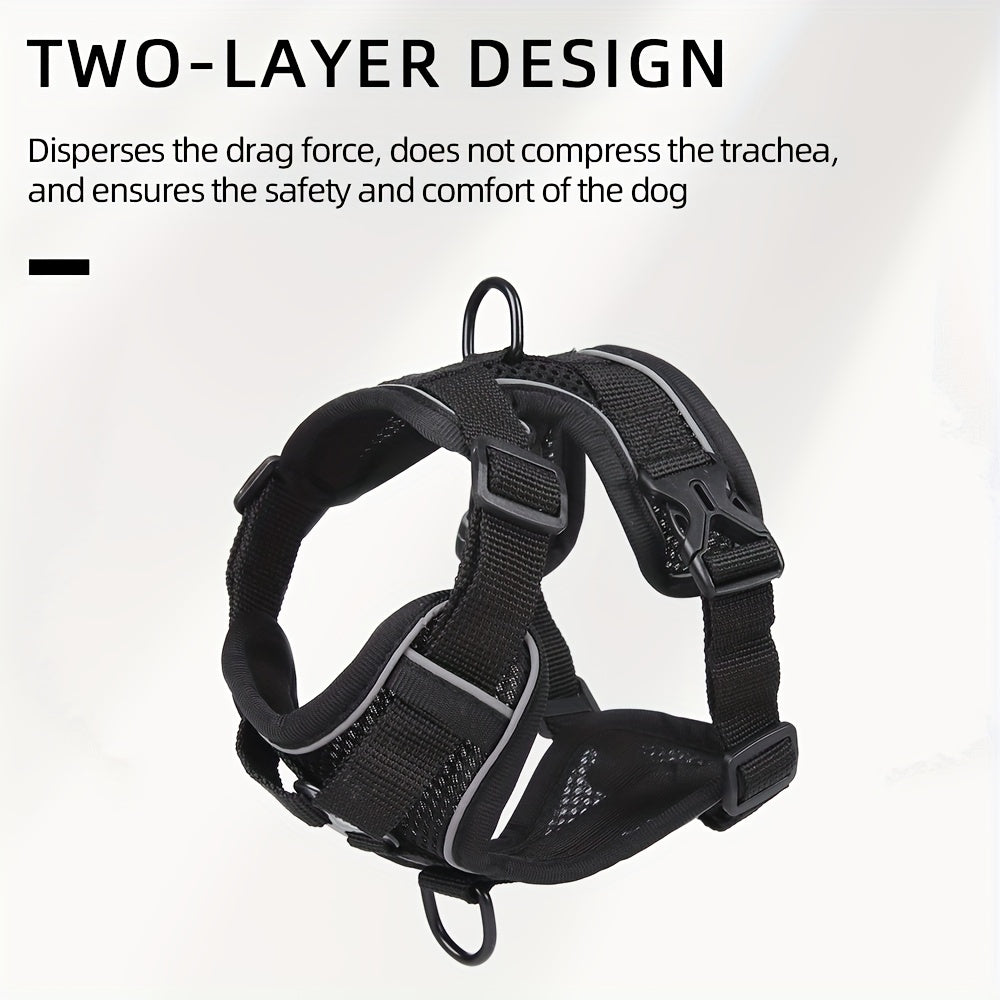 Reflective Cat Harness & Leash Set – Walks, Training, and Adventures Made Safe