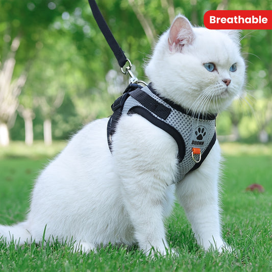 Ultimate Escape-Proof Cat Harness – Safe & Comfortable Outdoor Adventures!