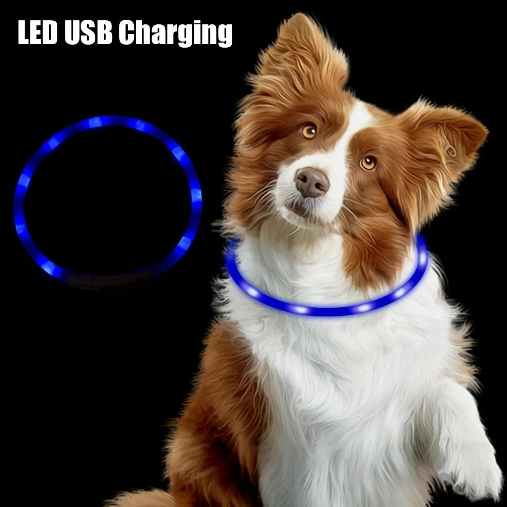 GlowPaws: USB Rechargeable LED Dog Collar for Night Visibility