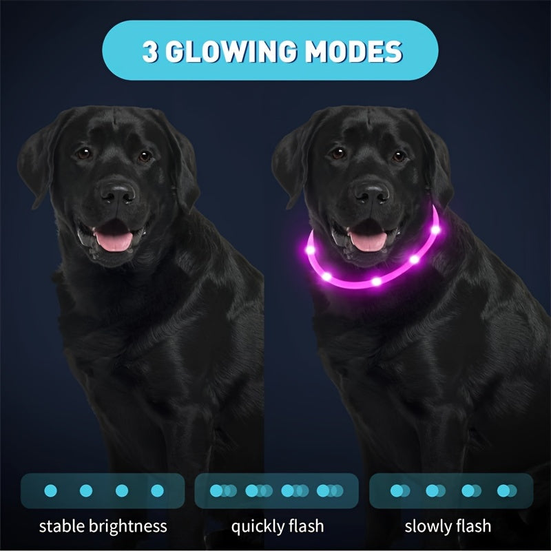 GlowPaws: USB Rechargeable LED Dog Collar for Night Visibility