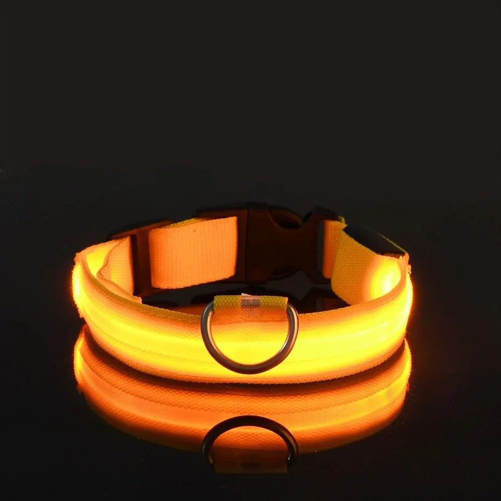 The luminous soul Dog Leash