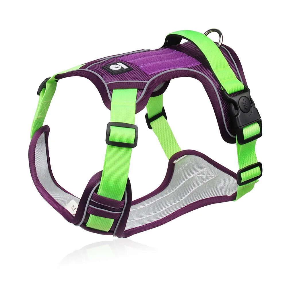 Dog Harness