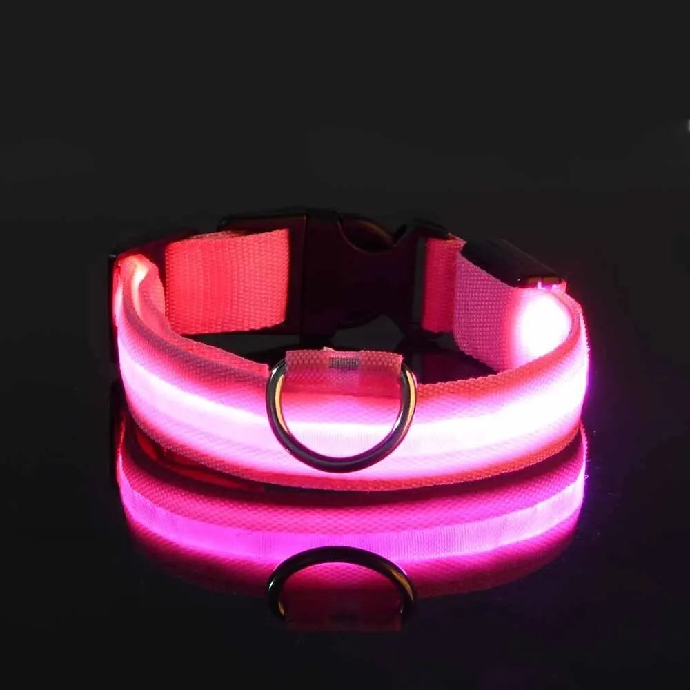 The luminous soul Dog Leash