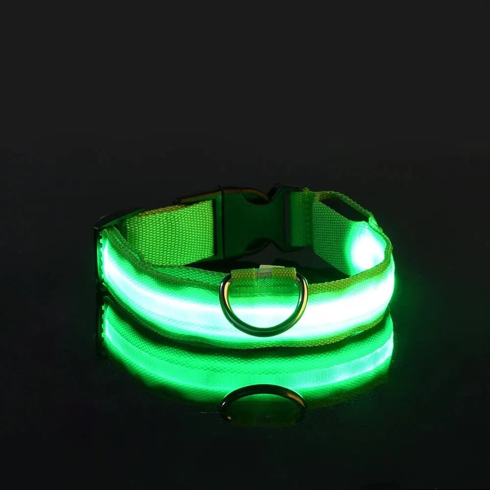 The luminous soul Dog Leash