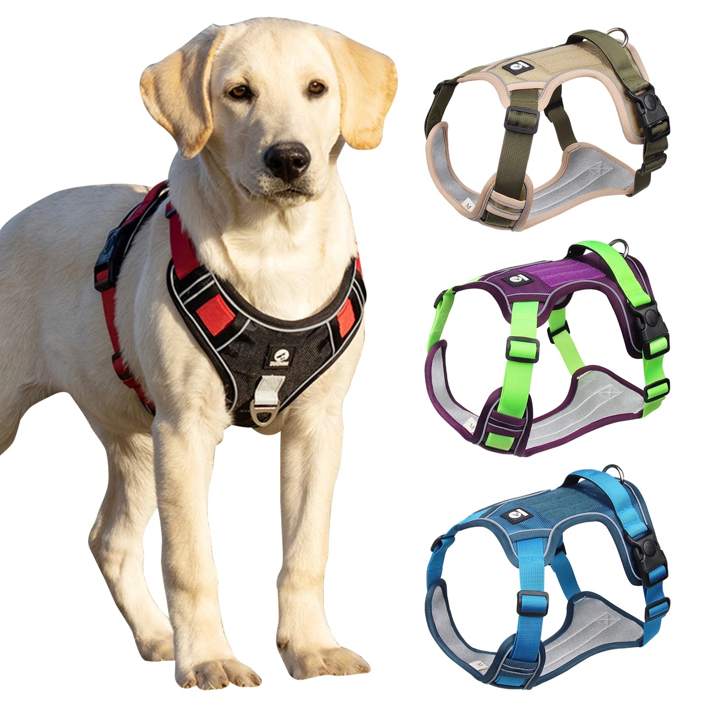 Dog Harness