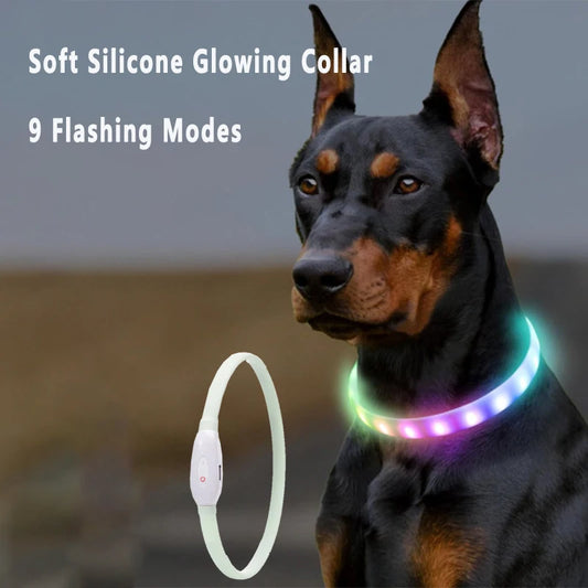 USB Rechargeable Glowing Collar