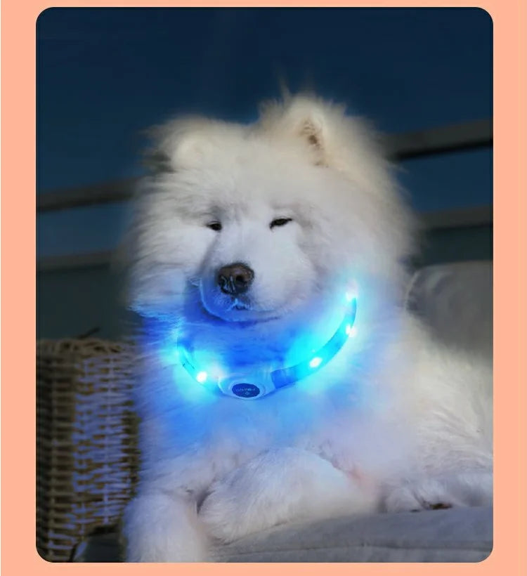 Led Luminous Dog Collar