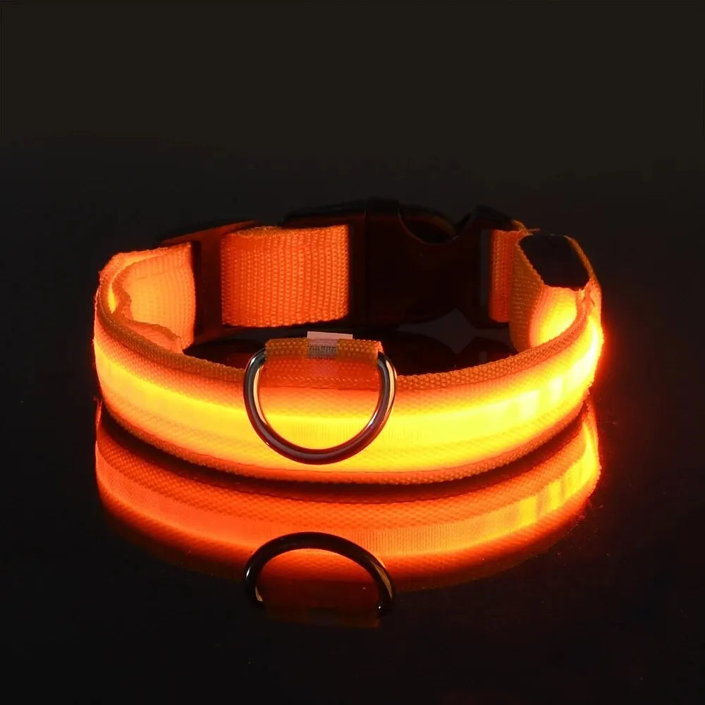 The luminous soul Dog Leash