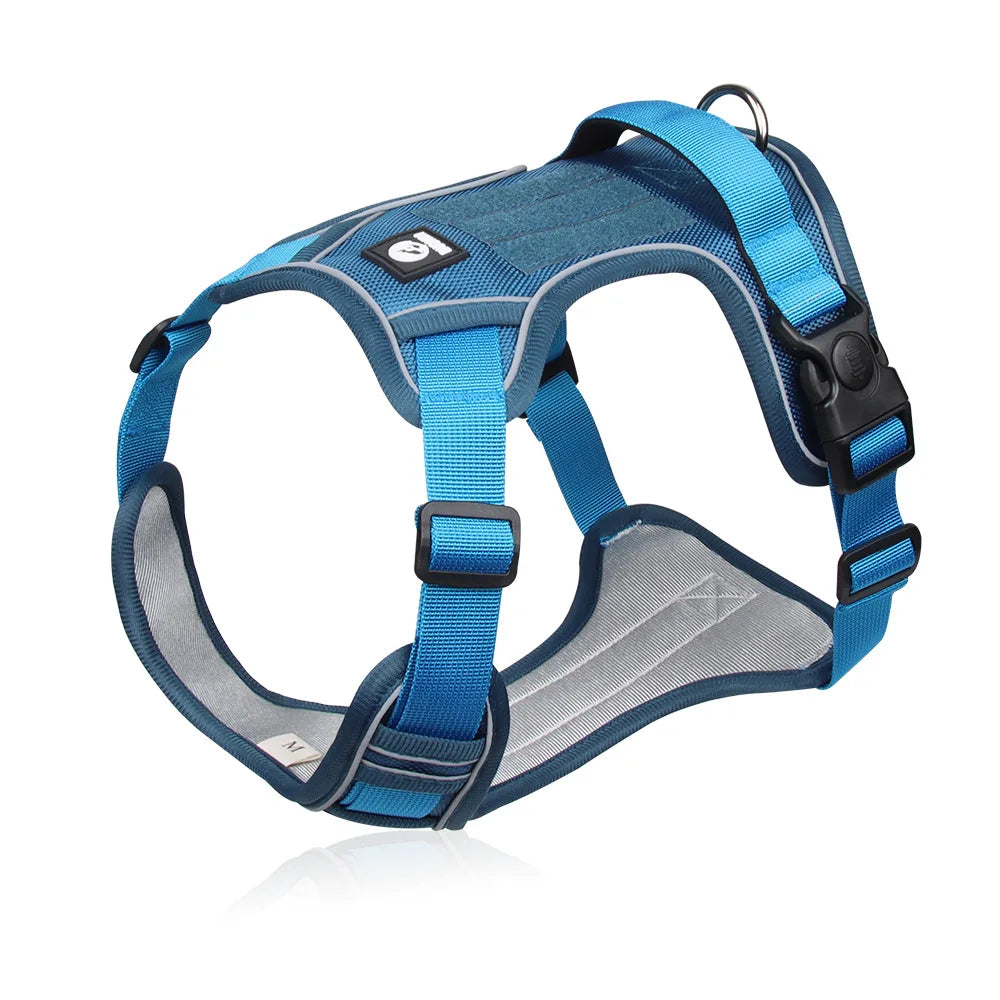 Dog Harness