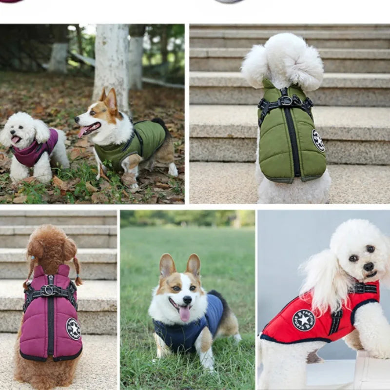 Dog Jacket with Harness Ring Winter Warm