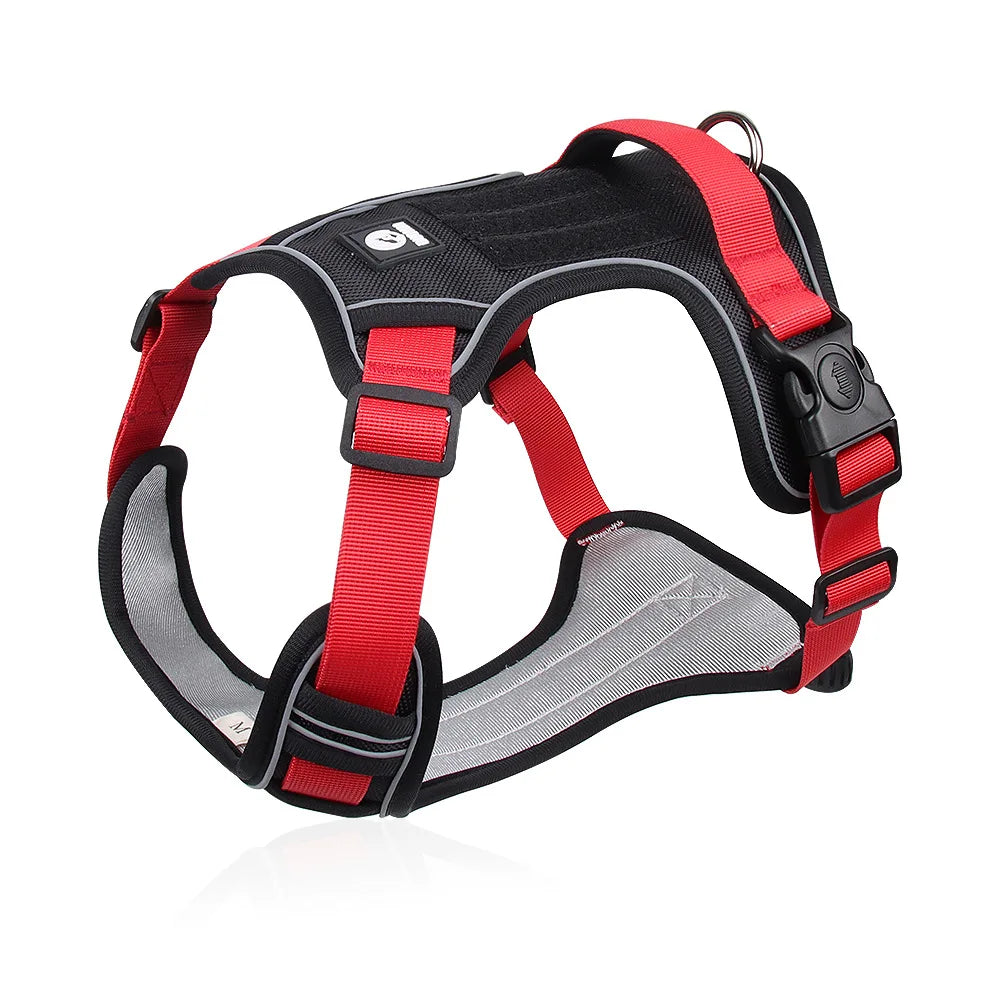 Dog Harness