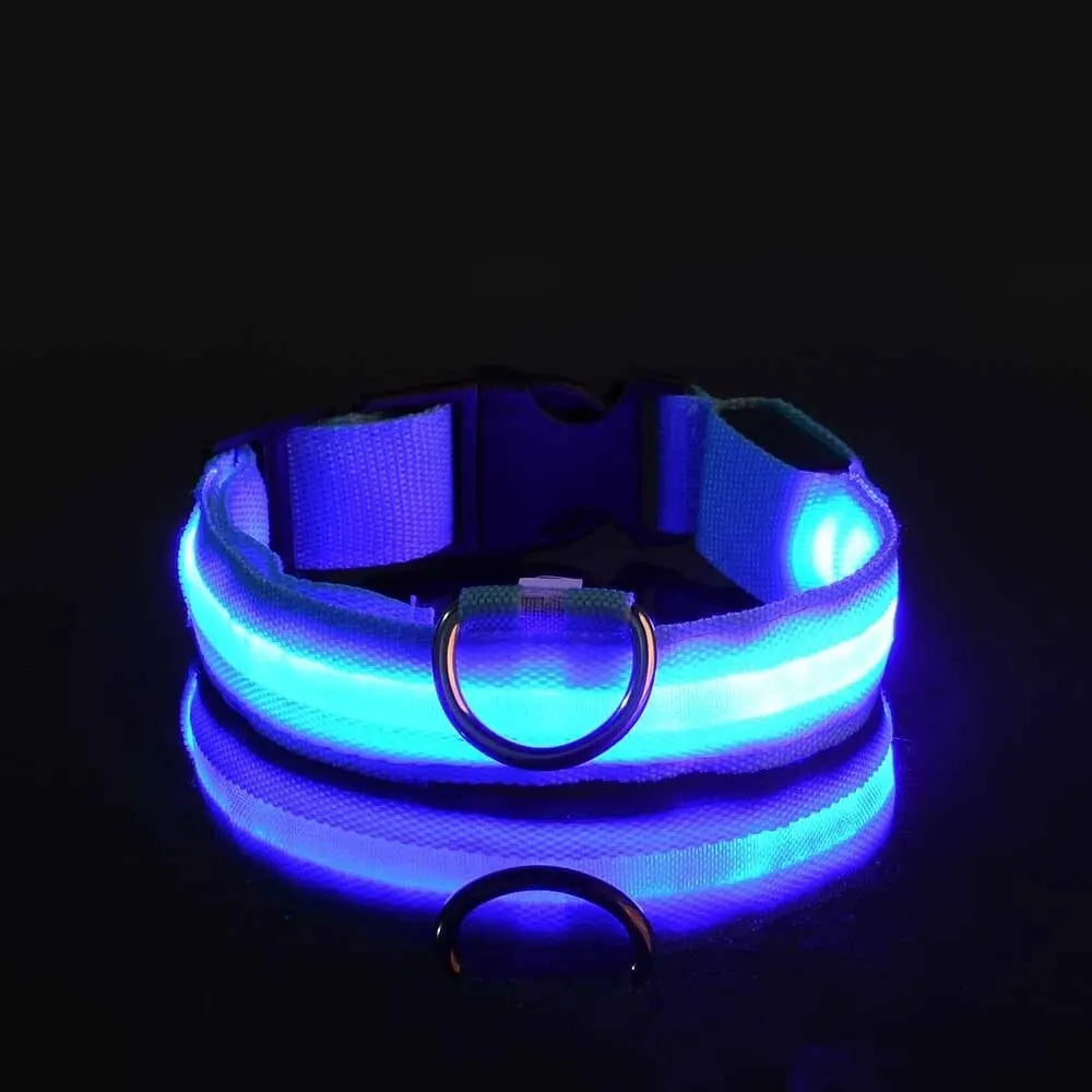 The luminous soul Dog Leash