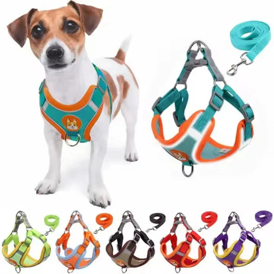 Harness Leash Set for Small Medium Dogs