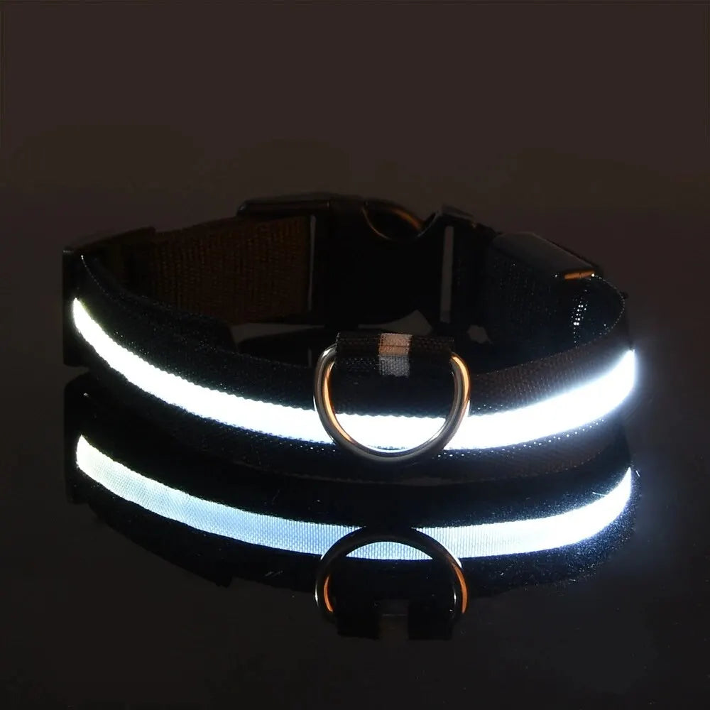 The luminous soul Dog Leash