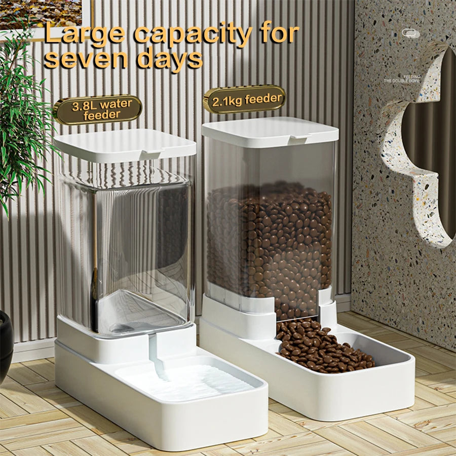 Automatic Cat Feeder & Water Dispenser