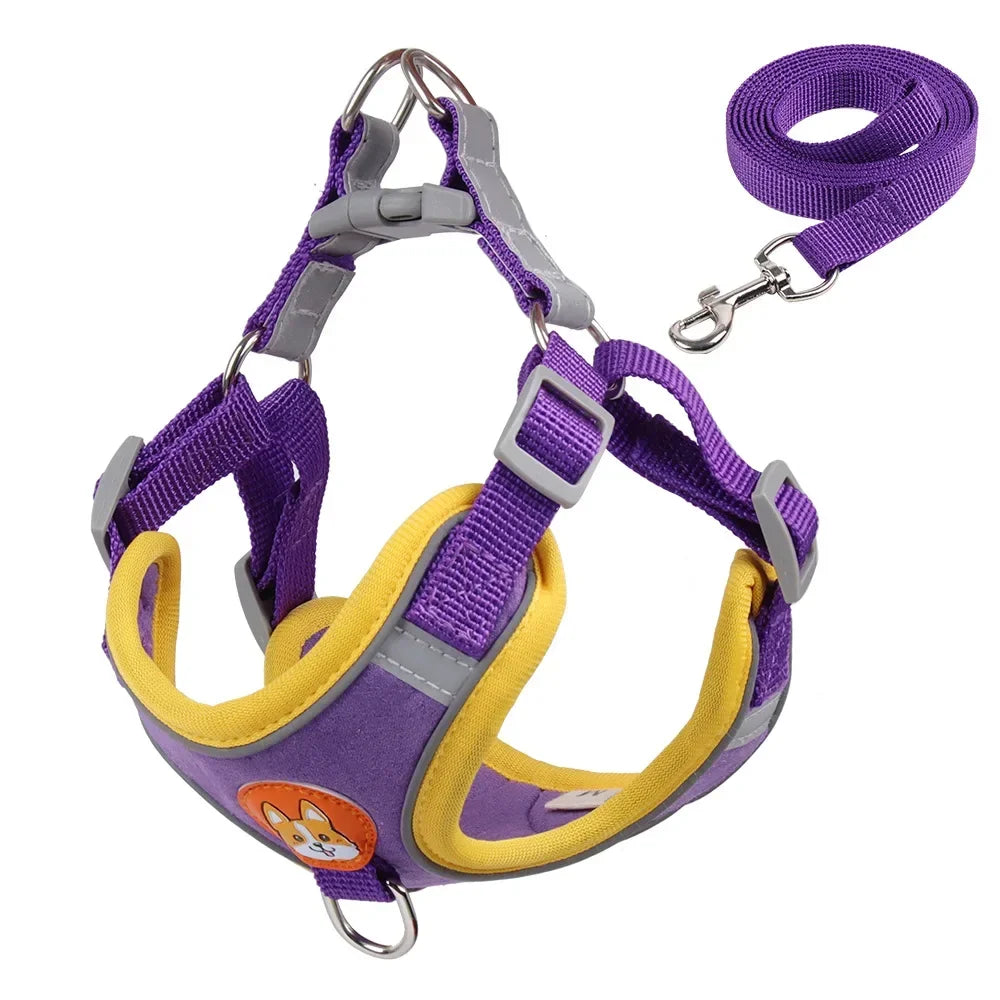 Harness Leash Set for Small Medium Dogs