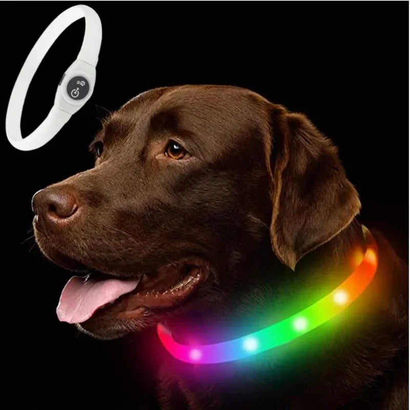 Led Luminous Dog Collar