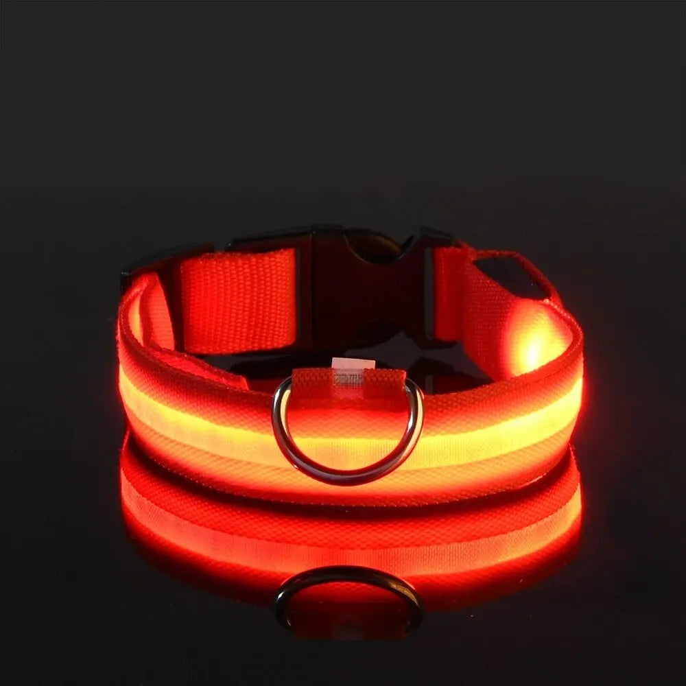 The luminous soul Dog Leash