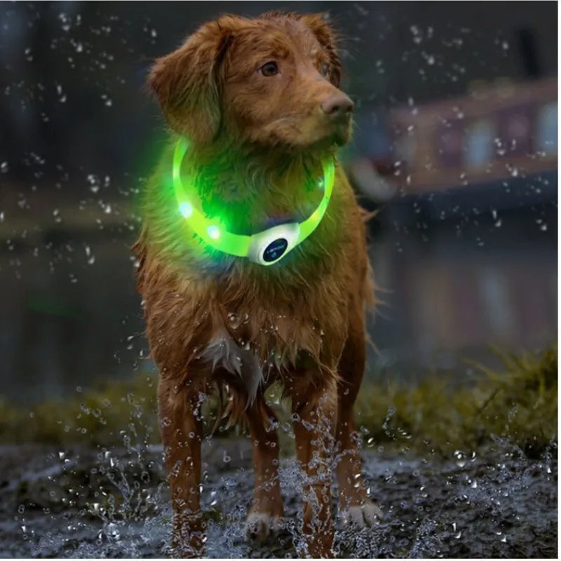 Led Luminous Dog Collar