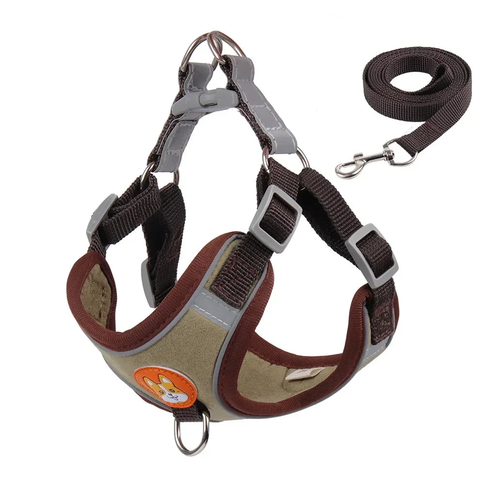 Harness Leash Set for Small Medium Dogs