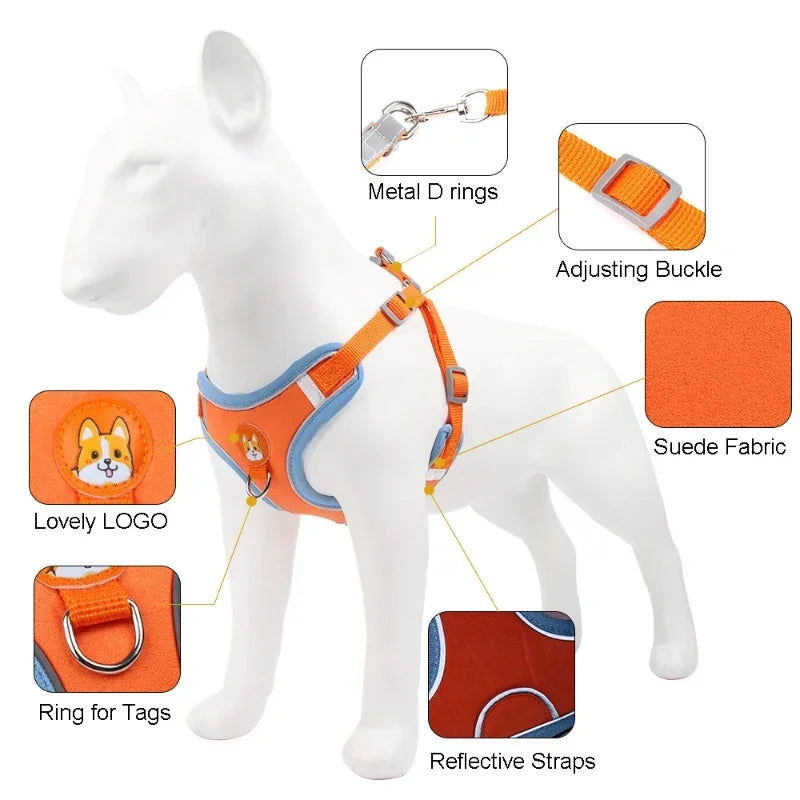 Harness Leash Set for Small Medium Dogs