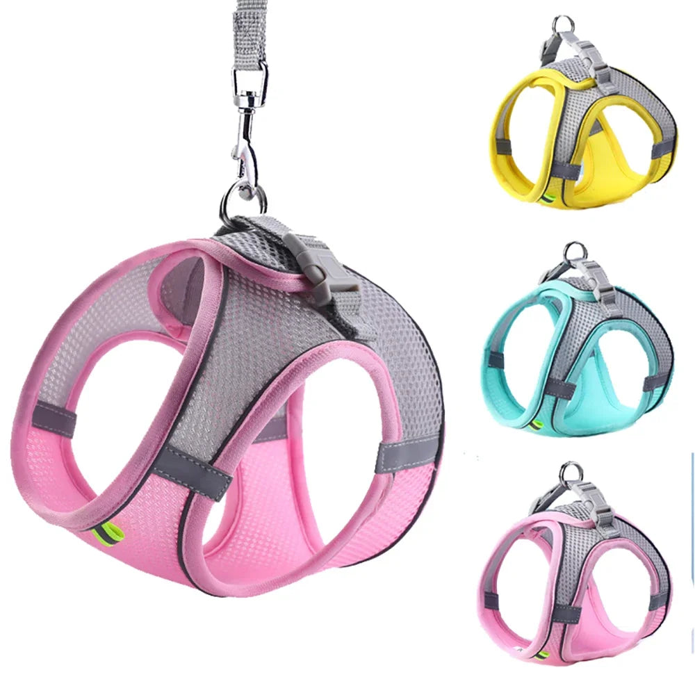 WalkPro: Deluxe Adjustable Pet Set