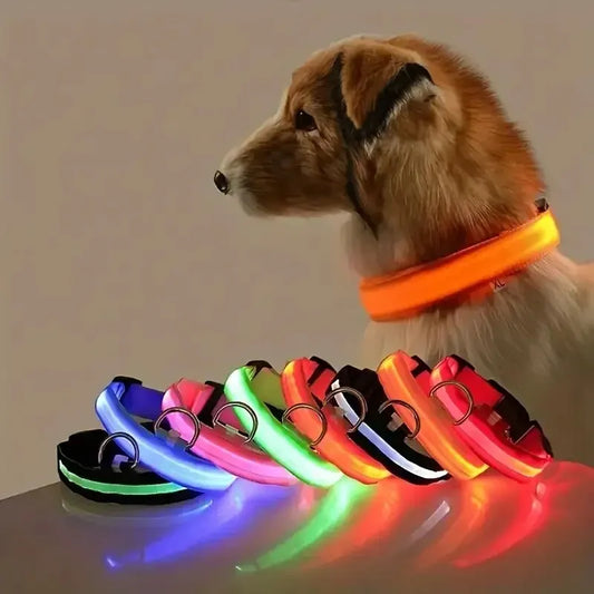 The luminous soul Dog Leash