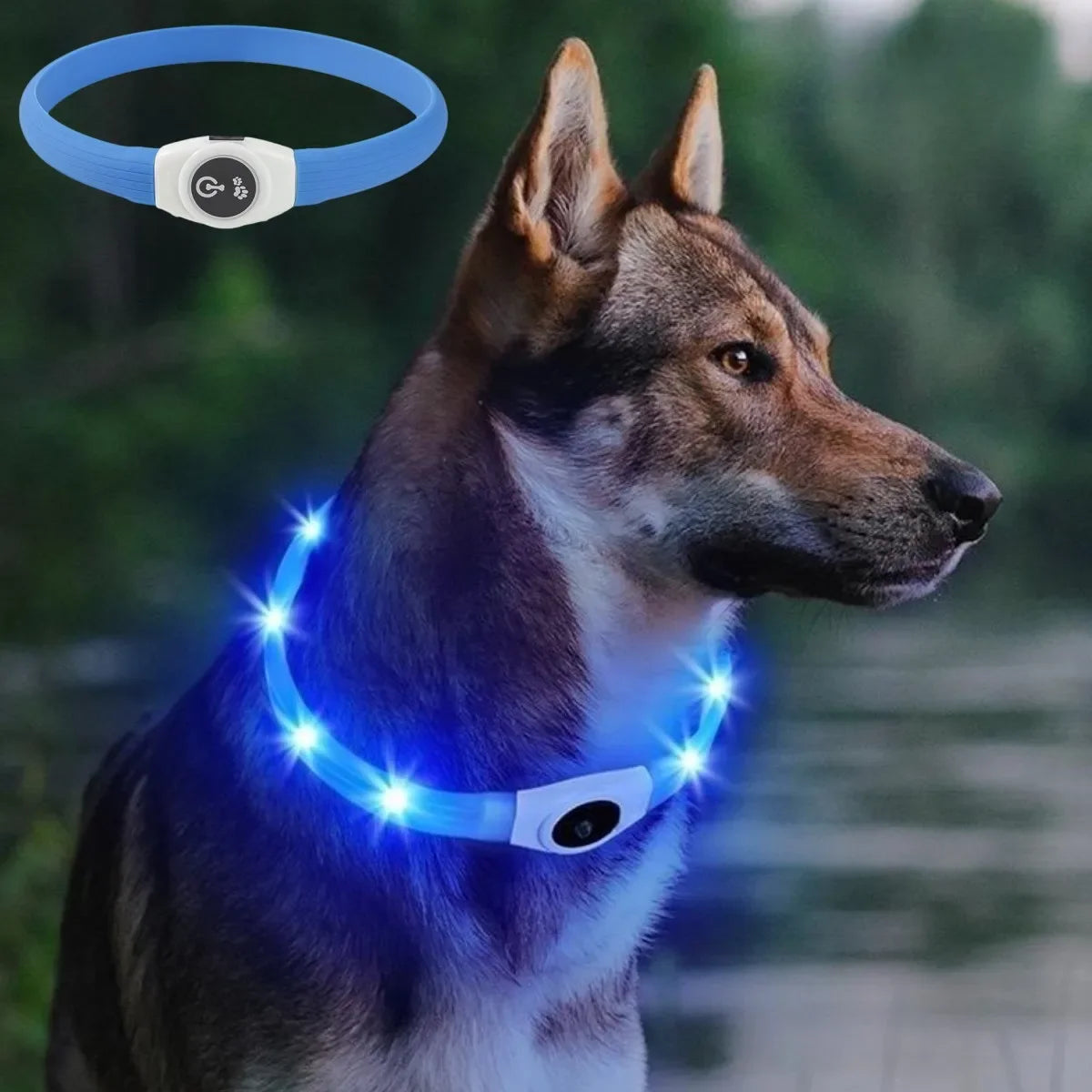 Led Luminous Dog Collar