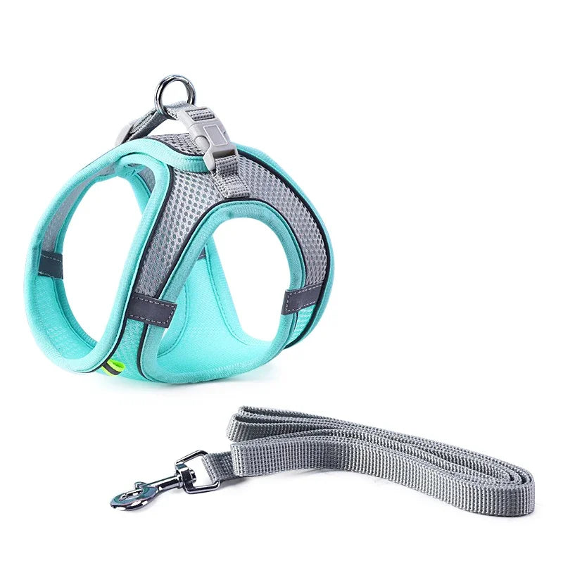 WalkPro: Deluxe Adjustable Pet Set